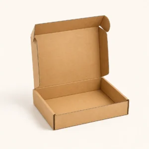 Mailer Box(Pizza)